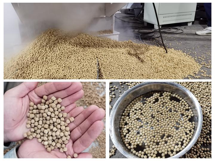 small scale Titus fish pellet making machine in Kenya